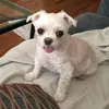 Debbie Jankowski - @debbiejay9 - TikTok