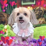 Deb Jarrett - @deb_jarrett - Instagram