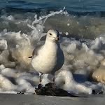 Deb Jarrett - @deb.jarrett.56 - Instagram