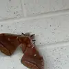 debsjeffs - @debsjeffs - TikTok