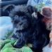 Deb Jensen - Facebook