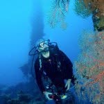 Debbie Davey - @debjettydive - Instagram