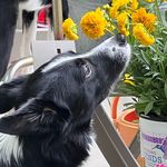 Deb Jones - @drdebjones - Instagram
