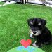Deb Jorgensen - Facebook