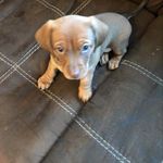 Deb Jorgensen - @jorgensen_deb - Instagram
