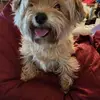 Debra Jorgensen - @debra.jorgensen - TikTok