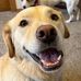 Deb Josephs - Facebook