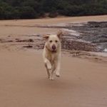Deb Justice - @debra.justice - Instagram