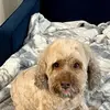 Deb Kuckkahn - @debkuckkahn - TikTok