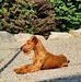 Debbie Kahn - Facebook