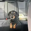Debbie Kahn - @debbie.kahn - TikTok