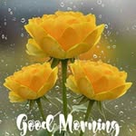 Deb Kar - @debkar48 - Instagram