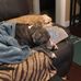 Debbie Karp Sheadel - Facebook