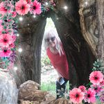 Deb Kaye Skaaren - @dskaaren - Instagram