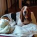 Deb Keefe - Facebook