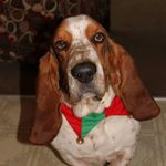 Deb Keefe - @deb.keefe.5 - Instagram