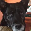debkeilman - @debkeilman - TikTok