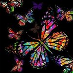 Deb Keim - @keimd55 - Instagram