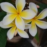 Debbie Kent - @kent_deb - Instagram