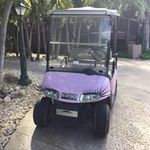 Debra Kent - @debrakent1952 - Instagram