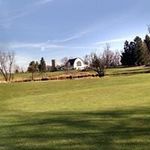 Debbie Kessler - @debkessler11 - Instagram