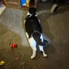 Debbie Ketchum Cooper - @debbie.ketchum.co - TikTok
