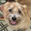 Debbie Kiel949 - @debbiekiel949 - TikTok