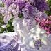 Deb Kimball - Facebook