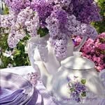 Deb Kimball - @kimballdeb - Instagram