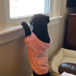 Deb Kimball van Oppen - @debvanoppen - Instagram