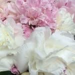 Debbie Kimball - @debkimball7 - Instagram