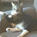 Deb Kimmel - Facebook