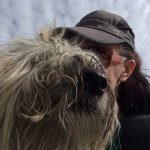 Deb Kinney - @debkinn - Instagram