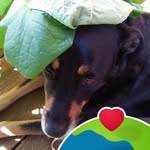 Deb Kinney - @dlkinney0421 - Instagram