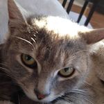 Deb Kinney - @djk.99 - Instagram
