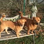 Deb Kirk - @debkirk2622 - Instagram