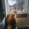 Deb Kirk - @deb.kirk - TikTok