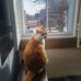 Deb Kirk - Facebook