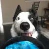 Debkirk628 - @debkirk628 - TikTok