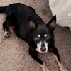 debkirker - @debkirker - TikTok