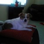 Deb Kirkpatrick - @deb.kirkpatrick - Instagram