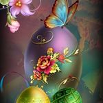 Debra Smith Kirkpatrick - @bird.lady.deb - Instagram