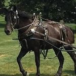 Debbie Kline - @debkline56 - Instagram