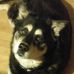 Debbie Knecht - Facebook