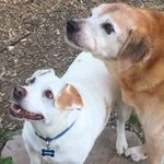 Debie Knecht - @deborah.knecht75 - Instagram