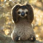 Deborah Knecht Shipley - @deborah.k.shipley - Instagram