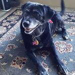 Debra Knecht - @debraknecht - Instagram