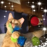 Deb K Knutson Tallacksen - @debster4488 - Instagram
