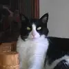 Deb Knutson946 - @debknutson1 - TikTok