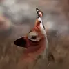 Debbie Knutson - @emmaknutson - TikTok